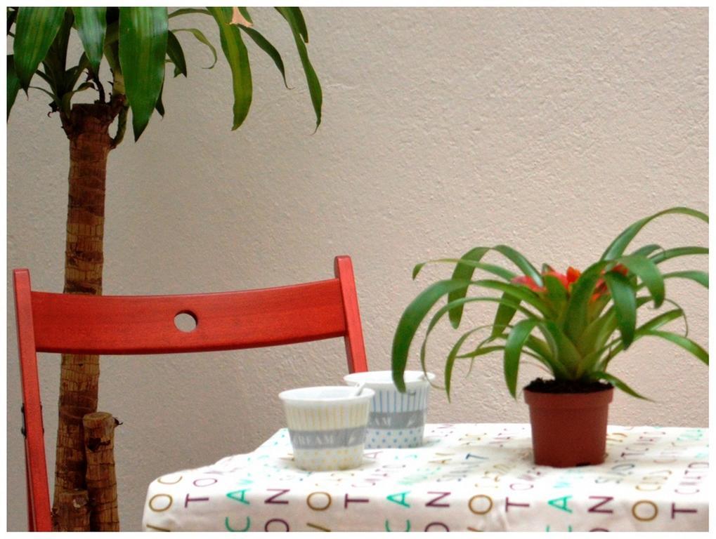 Colegiata Home Talavera de la Reina Eksteriør bilde